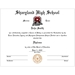 Custom Diploma/Certificate - custdip